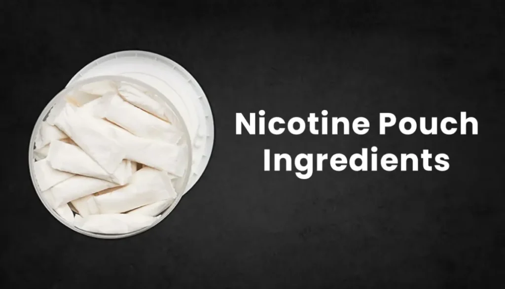 Convenience-focused nicotine solutions are gaining traction among busy professionals worldwide