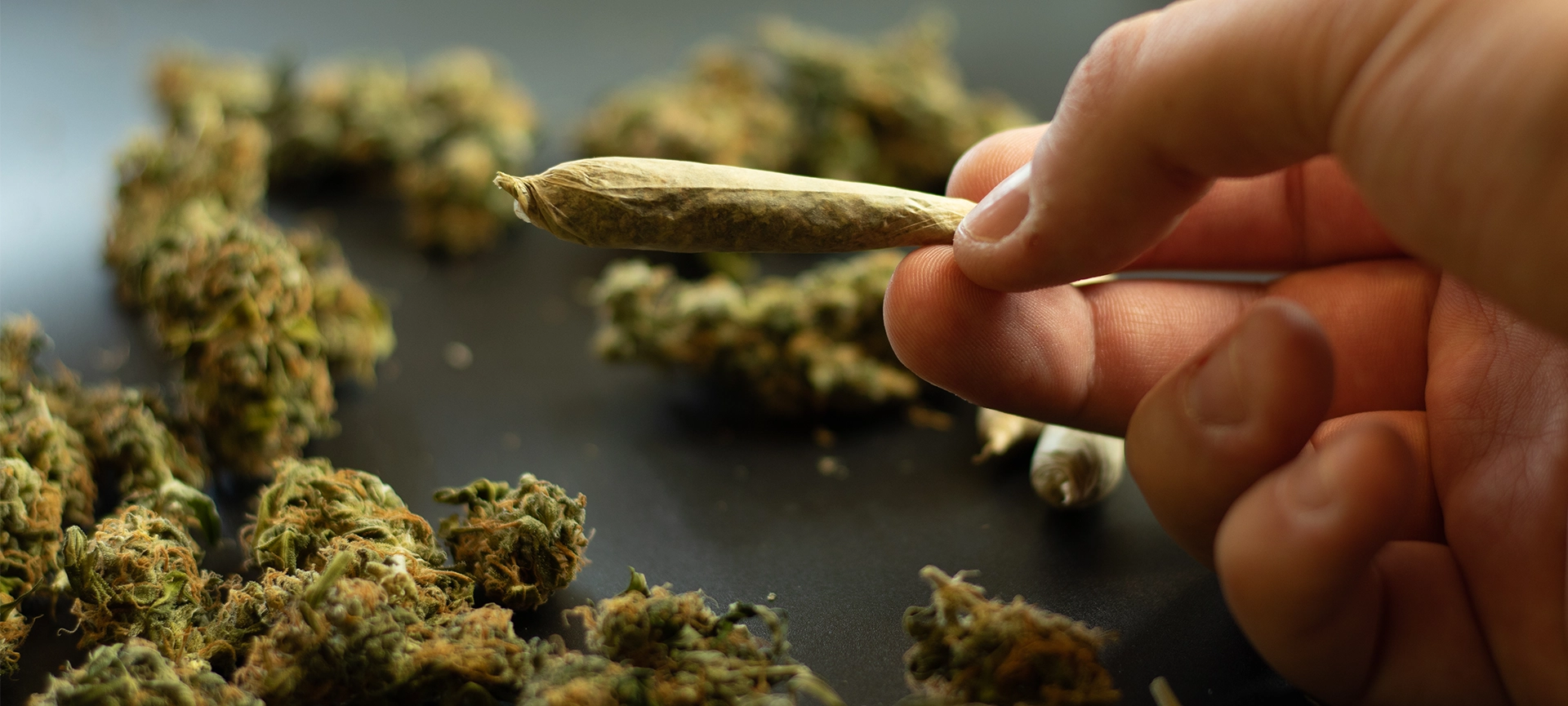 order weed online dispensary