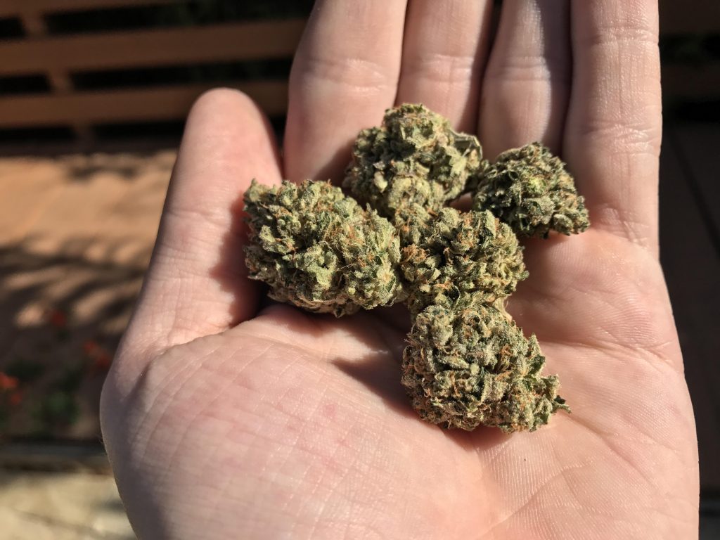 Important Factors To Consider Before Buying THCA Flower Products