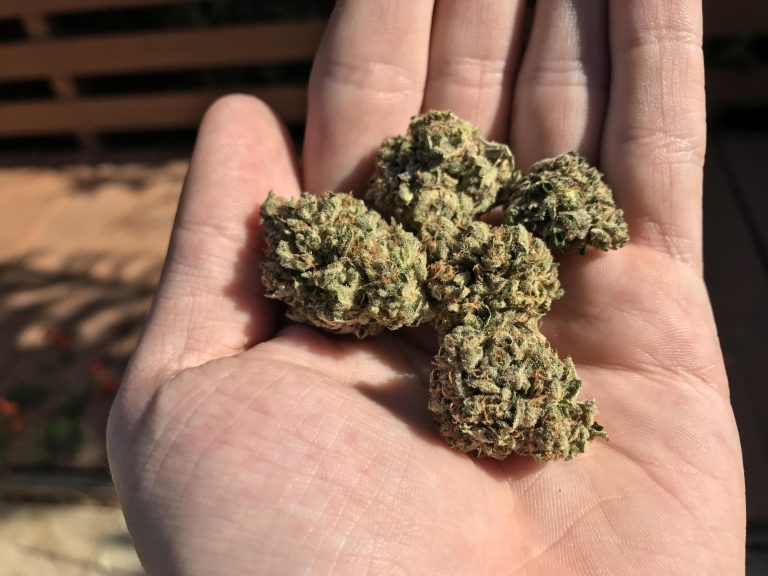 Important Factors To Consider Before Buying THCA Flower Products