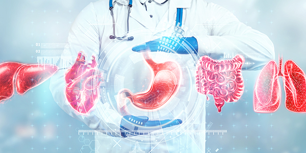 Understanding Common Digestive Disorders and When to Seek Medical Care